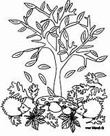 Herbst Malvorlagen Ausdrucken Malvorlage Kidsweb Herbstbaum Malen Baum Bastelideen Mandalas Vorlagen Drachen Jahreszeiten Fensterbilder Halloween Frühling Vier Freigeben sketch template