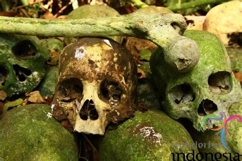 bali indonesia tourism photo gallery trunyan cemetery