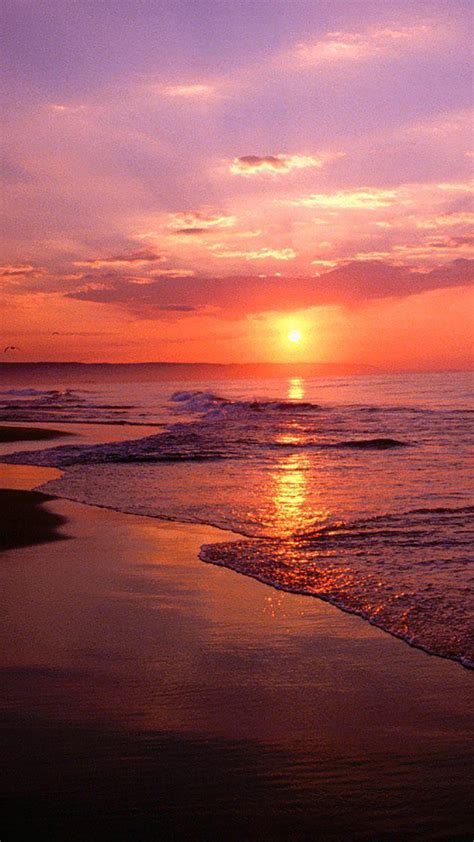 sunset sea wallpaper  iphone  pro max