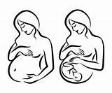 Incinta Simbolo Stilizzato Embarazada Embarazadas Maternidad Stylized Silueta Embarazo Iconos Estilizado Símbolo Contorno Icono Gravidanza Maternità Profilo Signo Ilustración Illustrazioni sketch template