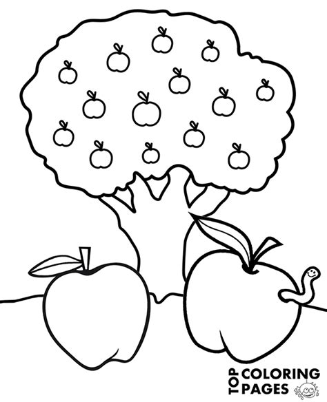 printable apple tree coloring pages