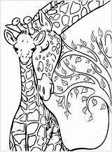 Giraffe Coloring Giraffes Baby Color Pages Mother Mom Animal Printable Adult Adults Tree Background These Two Animals Mandala His Christmas sketch template