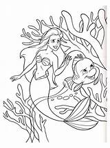 Ariel Coloriage Sirene Petite Imprimer sketch template