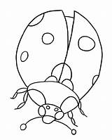 Mariquitas Ladybug Coloring Chachipedia sketch template