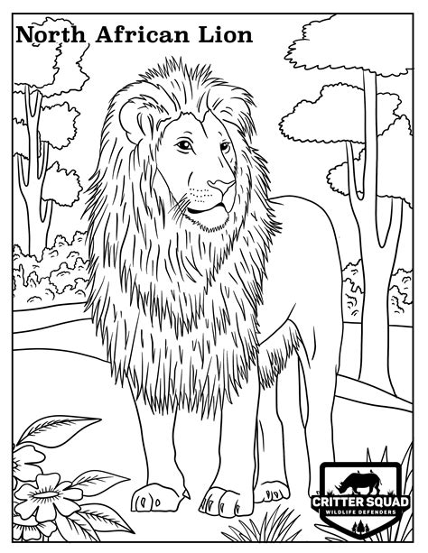 african lion page coloring pages