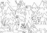 Waldtiere Ausmalbilder Malvorlage Biber Tiere Malen Mandala sketch template