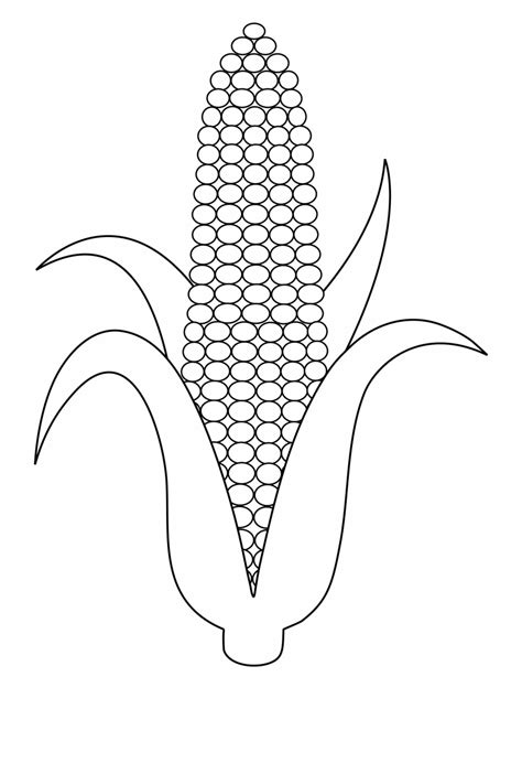 corn    template coloring pages