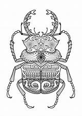 Zentangle Mandala Beetle Coloriage Colorier Scarabee Coloriages Adulte Colorare Beetles Insectes Scarabée Insecte Sublime Insetti 123rf Armadillo Mandalas Coloringbay Arthropod sketch template