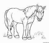 Cavalos Cavalo Caminhada sketch template