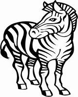 Zebra Drawing Coloring Awesome Line Kids Getdrawings sketch template