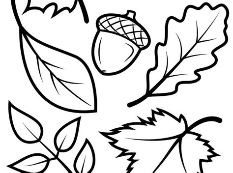 autumn leaves colouring pictures ryan fritzs coloring pages