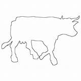 Lively Cows sketch template