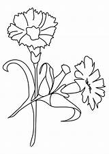 Blume Carnation Bestcoloringpagesforkids sketch template