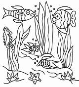 Coloring Underwater Pages Sea Under Scene Ocean Printable Seaweed Colouring Drawing Landscape Sheet Easy Plants Clipart Print Color Animals Floor sketch template