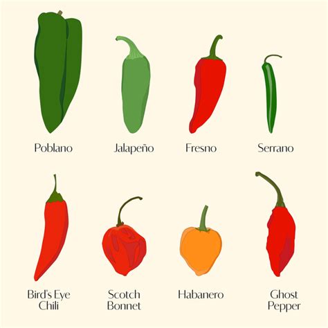 Your Ultimate Guide To Chile Peppers—from Mild To Spicy