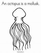 Coloring Octopus Mollusk Violette Pieuvre Est La Arms Animal Drawings Built California Usa Twistynoodle Noodle Print Favorites Login Add Twisty sketch template