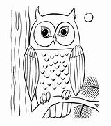 Colouring Coloring Pages Animal Printable Owl Drawing Animals Children Older Print Templates Template Color Paintingvalley Drawings Premium Bird Owls Getdrawings sketch template