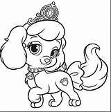 Coloring Pages Lps Dog Pet Littlest Getcolorings Print Printable Color Shop sketch template