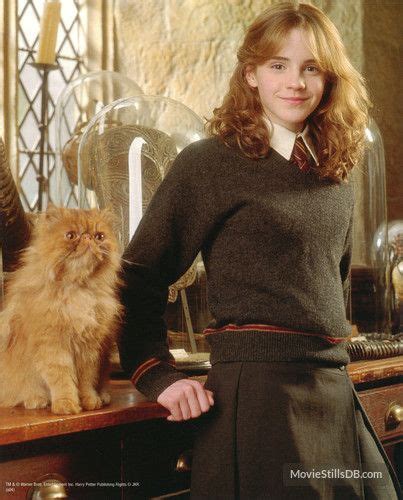 hermione ~ harry potter and the prisoner of azkaban