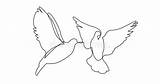 Piccioni Collega Continuo Tratteggio Uccelli Volo Pigeons Connecting sketch template