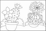 Coloring Cactus Pages Flowering Pretty Girls sketch template