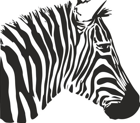 zebra stencil  vector cdr  axisco