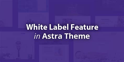 change astra theme plugin   white label feature