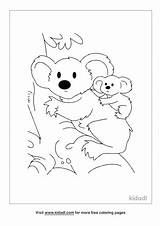Kidadl Koala sketch template