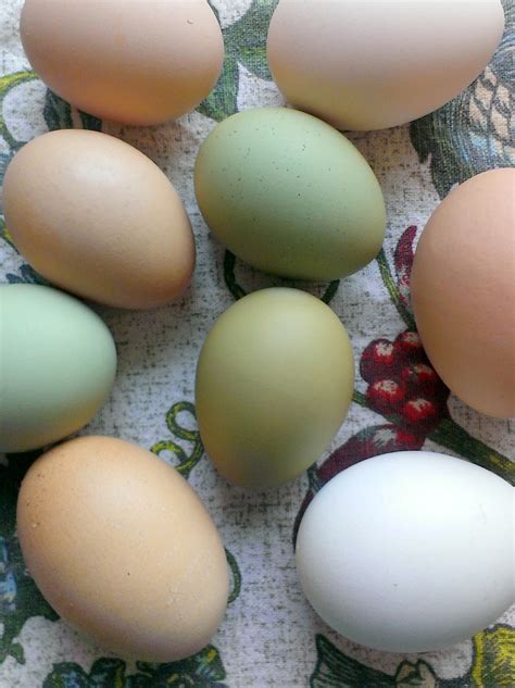 Dark Green Eggs