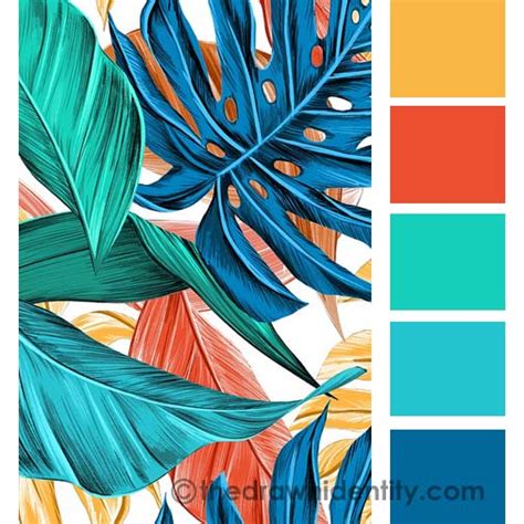 pattern colour palettes brand styling  drawn identity