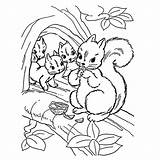 Coloring Squirrel Books Pages sketch template