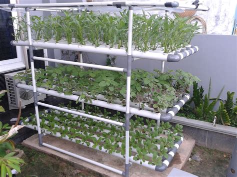 easy hydroponics  home  urban farmer independent