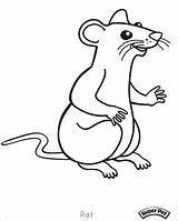 Rat Coloring Pages Rats Cartoon Outline Drawing Gerbil Lab Color Mouse Print Printable Coloringbay Getcolorings Getdrawings sketch template