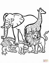 Animals Zoo Coloring Pages Entitlementtrap sketch template