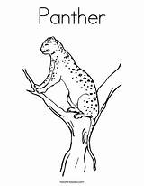 Panther Coloring Getdrawings Pages sketch template