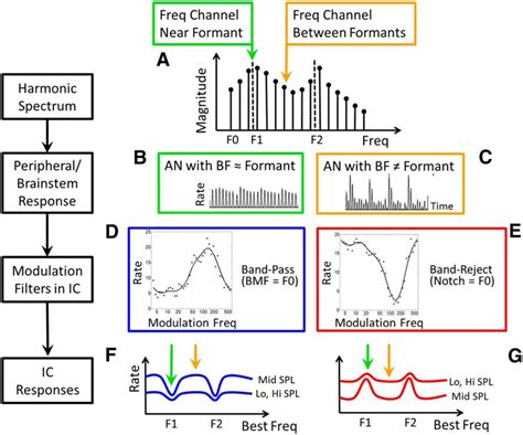 properties of our voice encode information about health fertility and