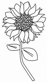 Sonnenblume Ausmalbilder Malvorlagen sketch template