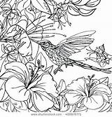 Tropical Coloring Pages Adults Birds Getcolorings Designlooter Printable Detailed Flower 37kb 470px sketch template