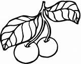 Cerezas Ciliegie Visine Cherries Cirese Colorat Kolorowanka Pflaume Fruits Planse Frutta Ciruelas Plum Printables sketch template