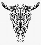Texas Longhorn Longhorns Cow Getdrawings Kindpng Alamo Vhv sketch template