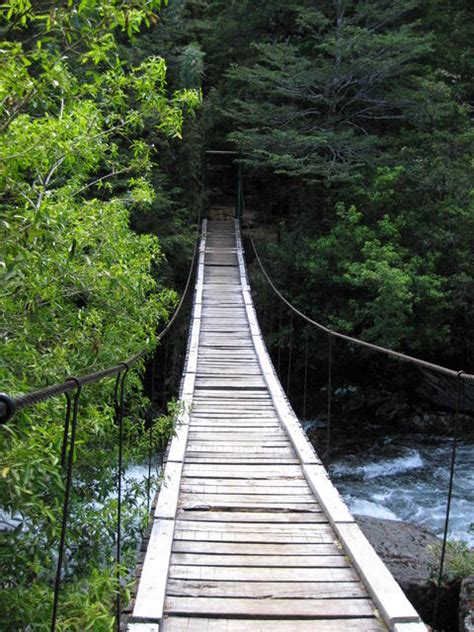 bridges wooden bridge  water