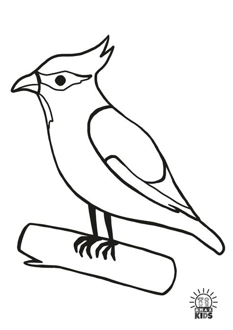 winter coloring pages  kids  birds amax kids