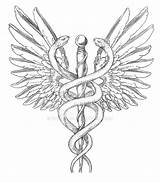 Caduceus Tattoo Symbol Medical Drawing Staff Tattoos Deviantart Symbols Rod Asclepius Caduceo Snakes Vs Designs Draw Snake Drawings Rn Tumblr sketch template