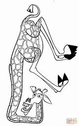 Melman Coloring Pages Drawing Printable Silhouettes sketch template