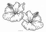 Hibiscus Cool2bkids Blumen Blume Malvorlage Imprimible sketch template