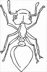 Coloring Ants Ant Pages Printable Kids Printables Color Queen Coloringbay Popular Coloringhome sketch template