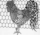Zentangle Rooster Jani Freimann Roosters Patterns sketch template