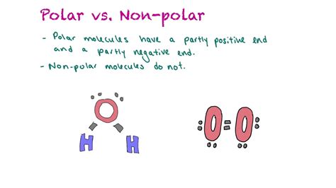 polar  nonpolar calculator polar  nonpolar  dummies hands onholi