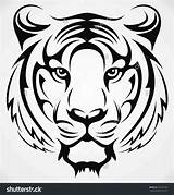 Tiger Head Tattoo Tribal Drawing Vector Drawings Line Getdrawings Lion Tattoos Coloring sketch template