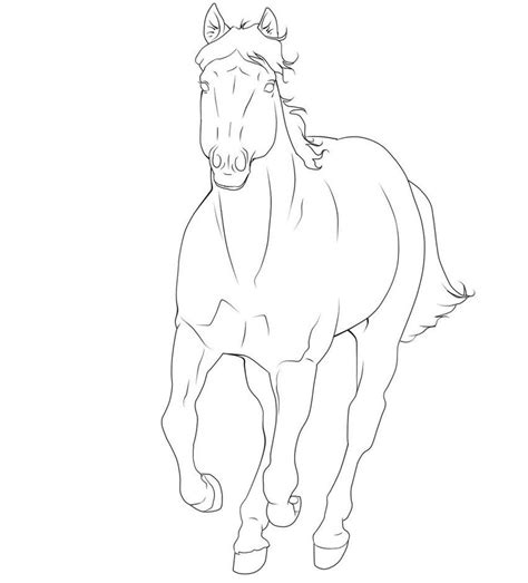 horse lineart horse coloring pages horse coloring
